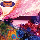 The Chris Robinson Brotherhood - Phosphorescent Harvest