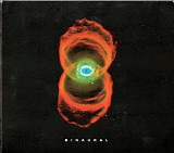Pearl Jam - Binaural