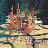 Ian Parry & Consortium Project - Ian Parry's Consortium Project
