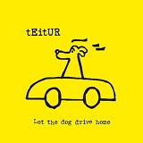 Teitur - Let The Dog Drive Home