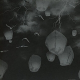 Trashcan Sinatras - Wild Pendulum