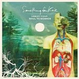 Something For Kate - Leave Your Soul To Science