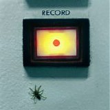 Amplifier - Record