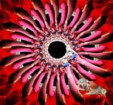 inFictions - Vanity Project