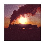 Sunlight Ascending - Phyllotaxis