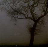 Jesu - Silver