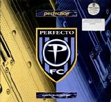 Various artists - Perfection: The Perfect Compilation