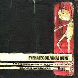 Eyehategod & Anal Cunt - In These Black Days: A Tribute To Black Sabbath (Vol. I)