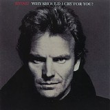 Sting - Why Should I Cry For You?