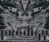 The Prodigy - Charly / Everybody in the Place