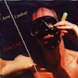 Arto Lindsay - Noon Chill