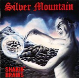 Silver Mountain - Shakin' Brains