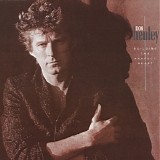 Don Henley - Building the Perfect Beast