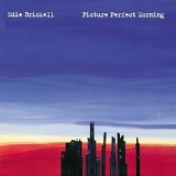 Edie Brickell - Picture Perfect Morning