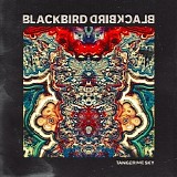 Blackbird Blackbird - Tangerine Sky