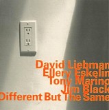 David Liebman and Ellery Eskelin - Different But The Same