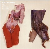 Cat Power - The Covers Record
