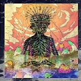 Corduroi - Jangala