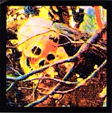 Black On Black Crime - Gold-Bug