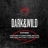 BTS - Dark & Wild