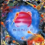 Lightning Seeds - Sense
