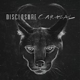 Disclosure - Caracal