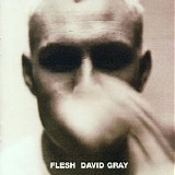 David Gray - Flesh