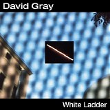 David Gray - White Ladder