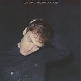 Day Wave - The Days We Had