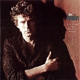 Don Henley - Building The Perfect Beast