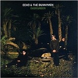 Echo & The Bunnymen - Evergreen