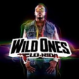 Flo Rida - Wild Ones