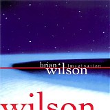 Brian Wilson - Imagination