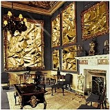 Gold Casio - Socialites And Singer Types
