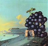 Moby Grape - Wow