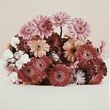 Megumi Acorda - U Forgot To Say Goodbye