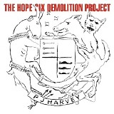 P.J. Harvey - The Hope Six Demolition Project