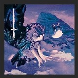 Palmbomen - Night Flight Europa