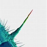Peter Gabriel - And I'll Scratch Yours