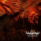Dawn Of Ashes - Origin Of The Ashes