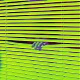 RAC - Don't Talk To