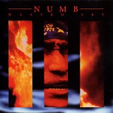 Numb - Wasted Sky