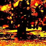 Skai Nine - Ember
