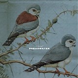 Shearwater - Thieves