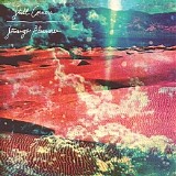 Still Corners - Strange Pleasures