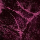 Soviet Soviet - Fate Remixes