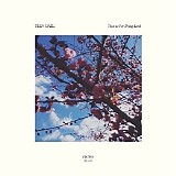 Teen Daze - Themes For Dying Earth