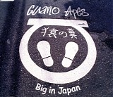 Guano Apes - Big In Japan (CD Single)