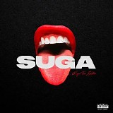 Megan Thee Stallion - Stop Playing