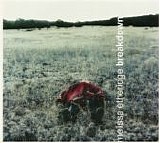 Melissa Etheridge - Breakdown